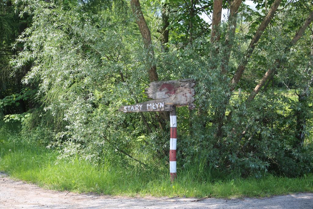 Gospodarstwo Agroturystyczne Stary Mlyn Wilczkowice Михаловице Экстерьер фото