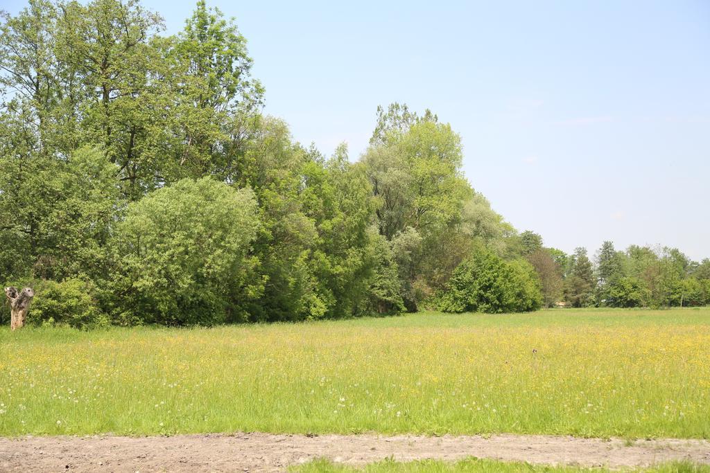 Gospodarstwo Agroturystyczne Stary Mlyn Wilczkowice Михаловице Экстерьер фото