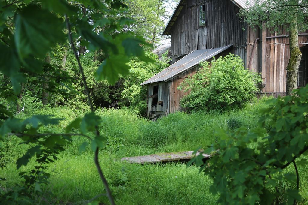 Gospodarstwo Agroturystyczne Stary Mlyn Wilczkowice Михаловице Экстерьер фото