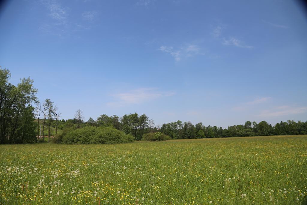 Gospodarstwo Agroturystyczne Stary Mlyn Wilczkowice Михаловице Экстерьер фото