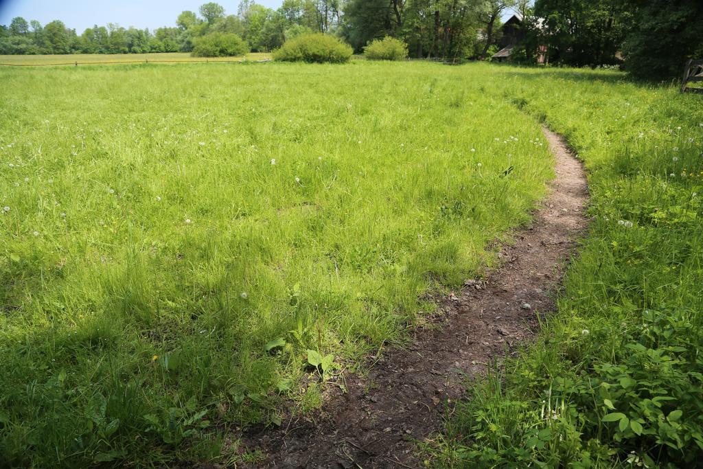 Gospodarstwo Agroturystyczne Stary Mlyn Wilczkowice Михаловице Экстерьер фото